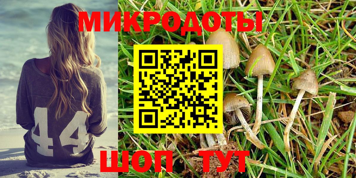 Галлюциногенные грибы Cubensis Кашира