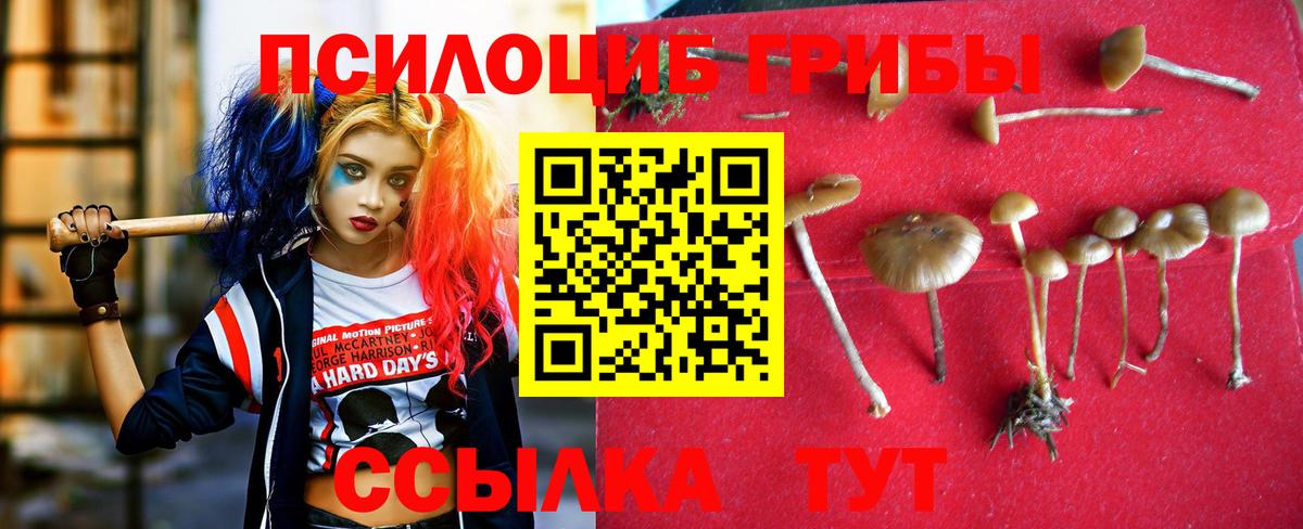 Кашира  Галлюциногенные грибы MAGIC MUSHROOMS  Вход с VPN 